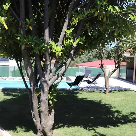 Casa Do Mestre Inteira *